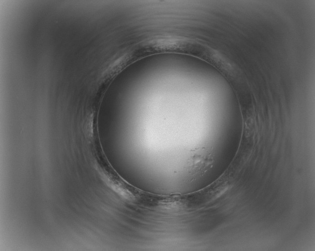 X0000068260454200604281530