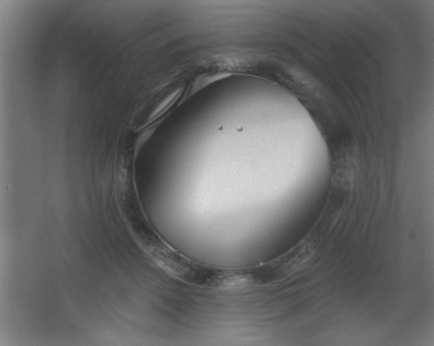 X0000068260456200604281530