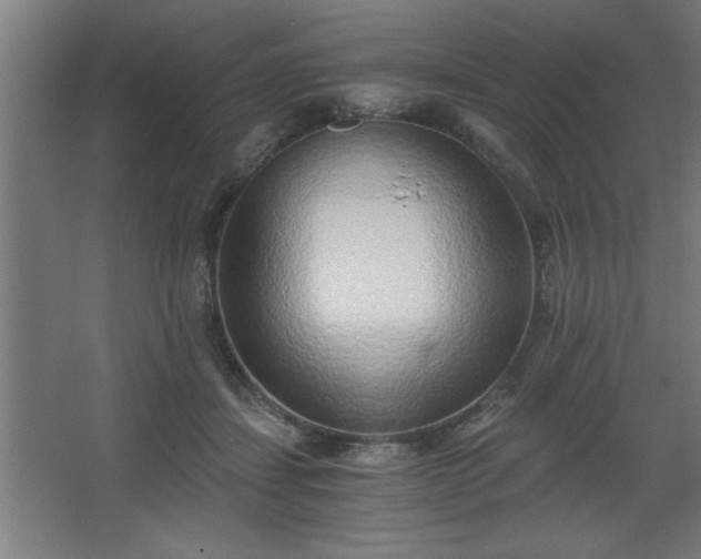 X0000068260459200604281530