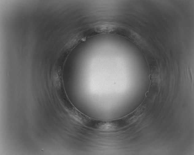 X0000068260460200604281530