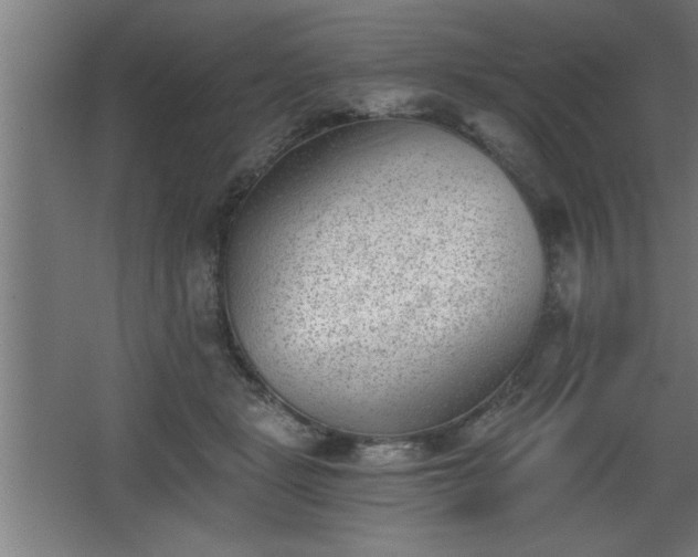 X0000068260461200604281530