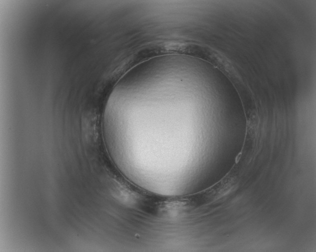 X0000068260462200604281530