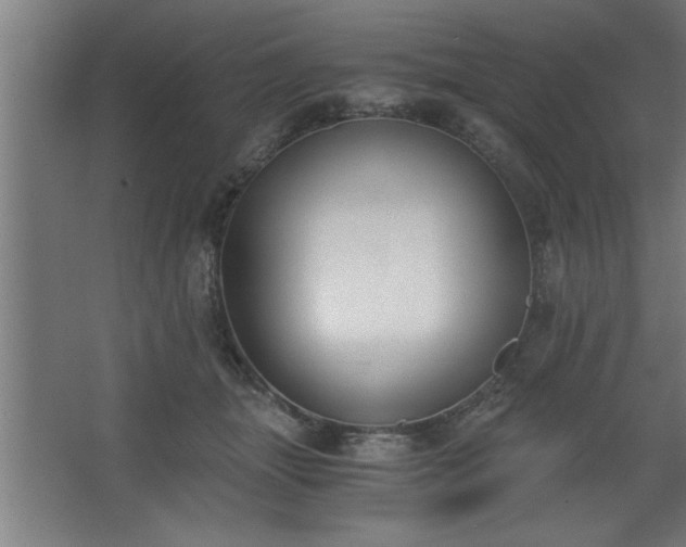 X0000068260463200604281530