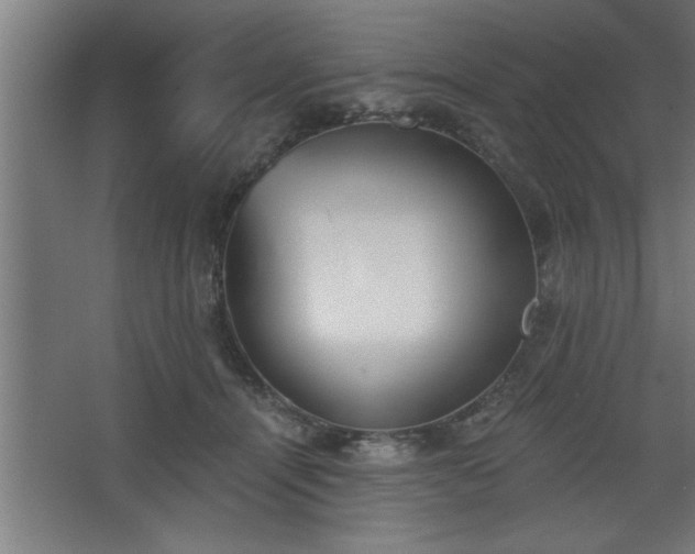 X0000068260464200604281530