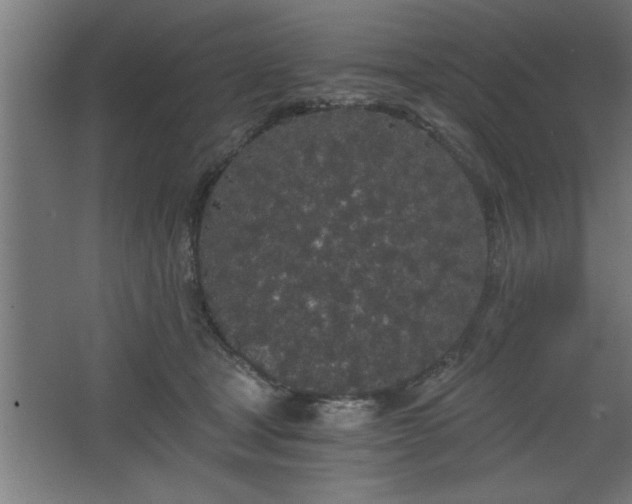 X0000068260465200604281530