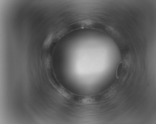 X0000068260468200604281530