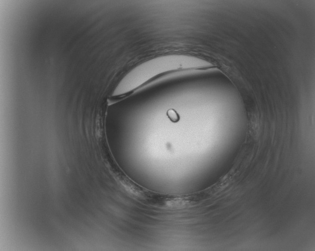 X0000068260470200604281530