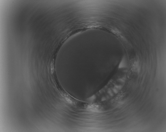 X0000068260471200604281530