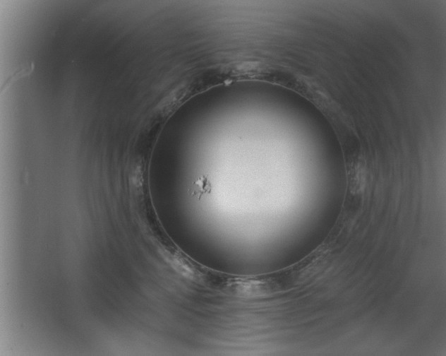 X0000068260472200604281530