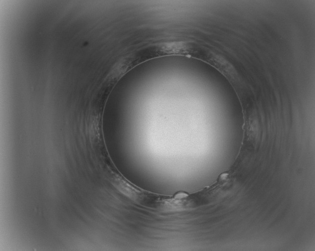 X0000068260473200604281530