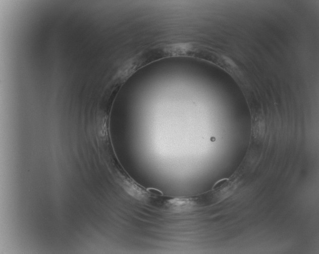 X0000068260477200604281530