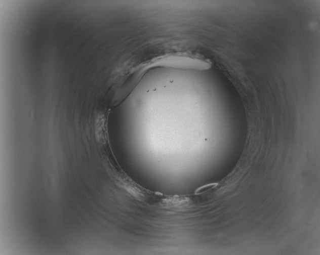 X0000068260480200604281530