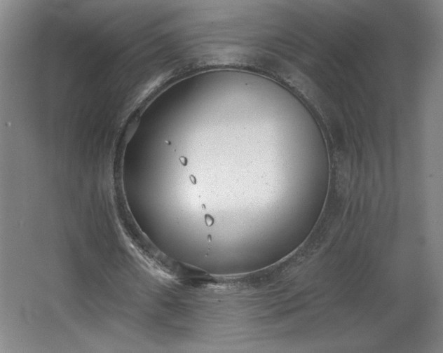 X0000068260482200604281529