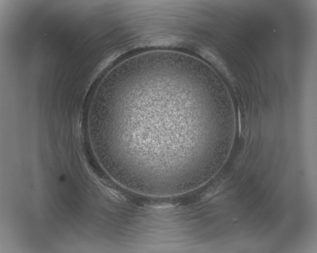 X0000068260483200604281529