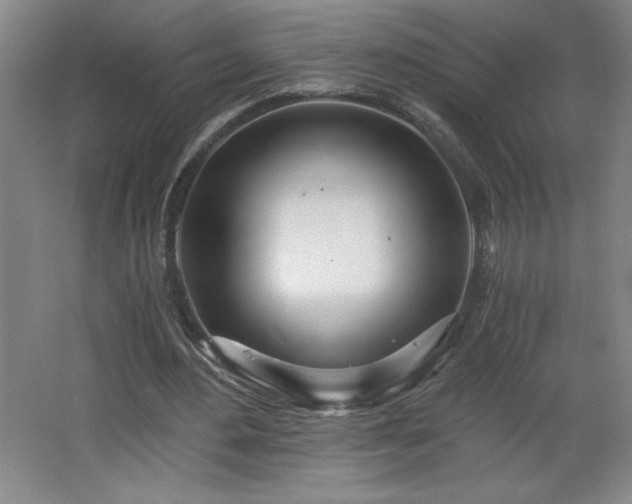 X0000068260484200604281529