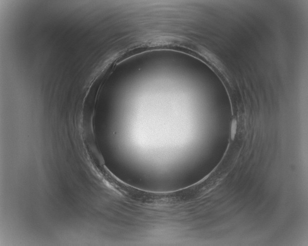 X0000068260485200604281529