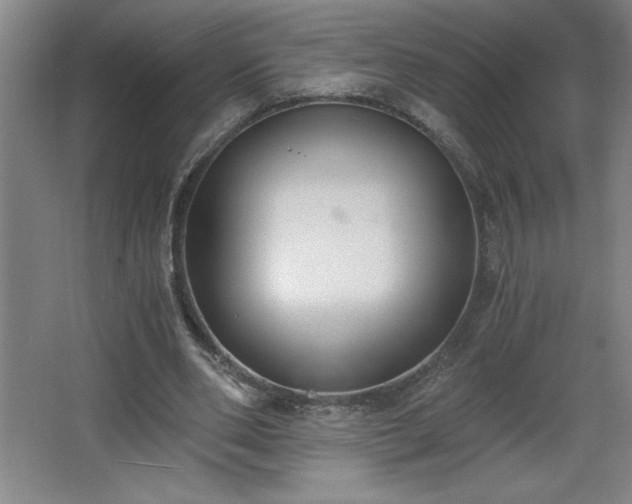 X0000068260486200604281529