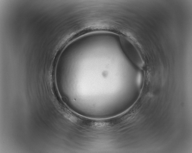 X0000068260487200604281529