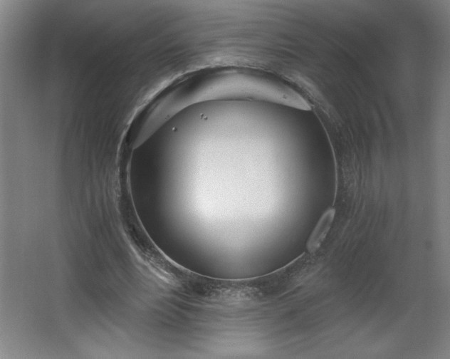 X0000068260488200604281529