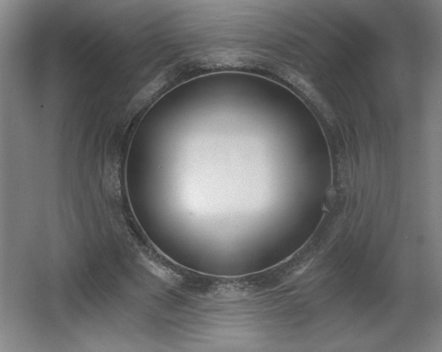 X0000068260489200604281529