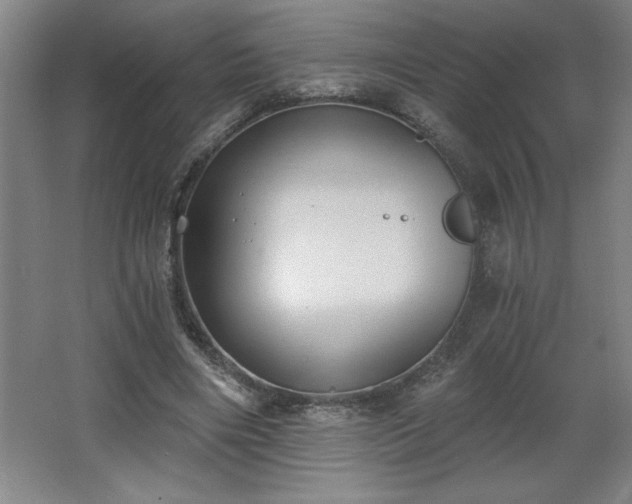 X0000068260490200604281529