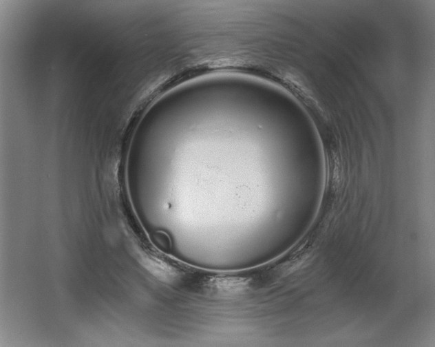 X0000068260491200604281529