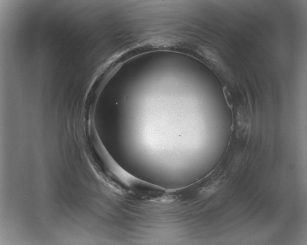 X0000068260492200604281529