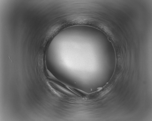 X0000068260493200604281529