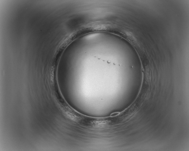 X0000068260495200604281529