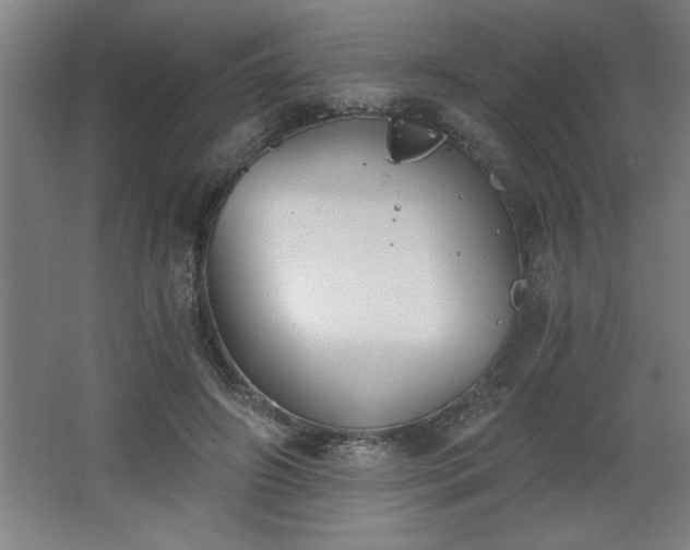 X0000068260498200604281529