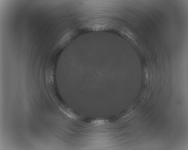 X0000068260499200604281529