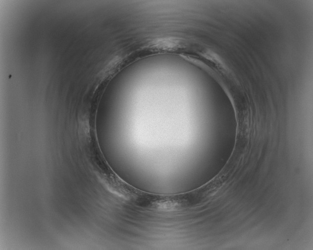 X0000068260500200604281529