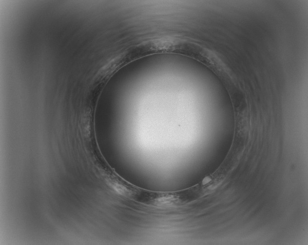 X0000068260505200604281529