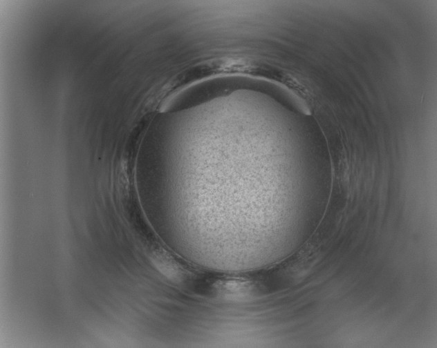 X0000068260506200604281529