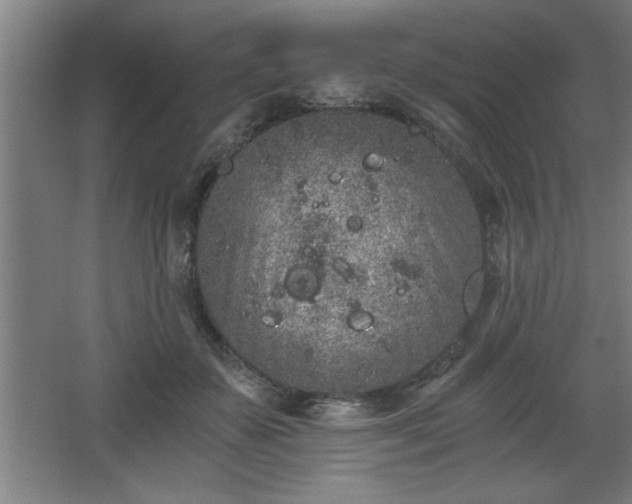 X0000068260507200604281529