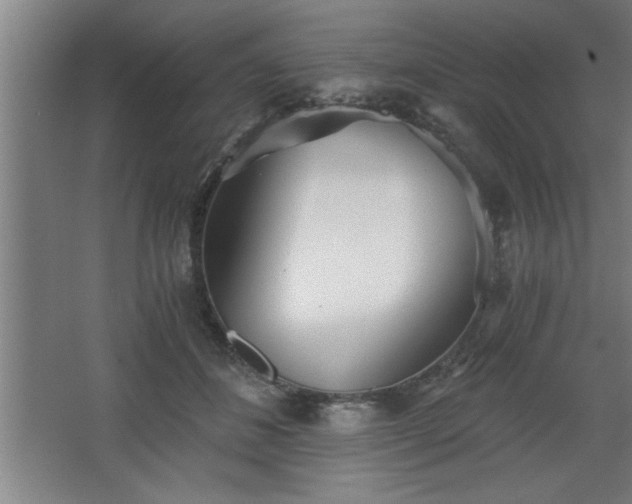 X0000068260508200604281529