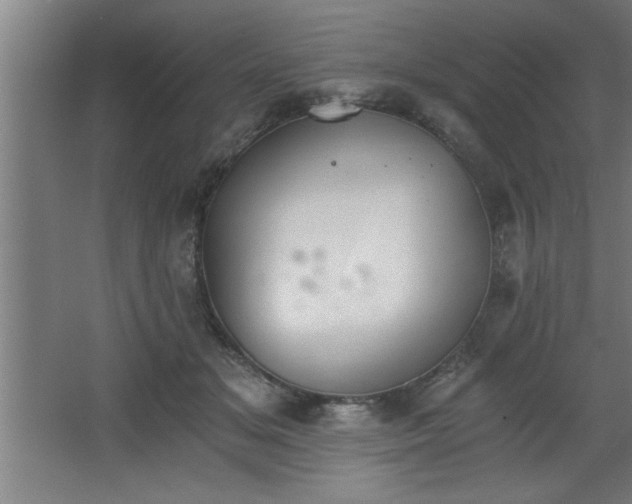 X0000068260509200604281529