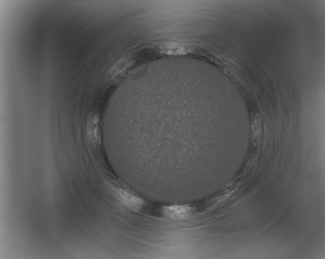 X0000068260511200604281529