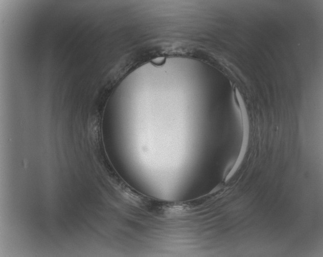 X0000068260513200604281529