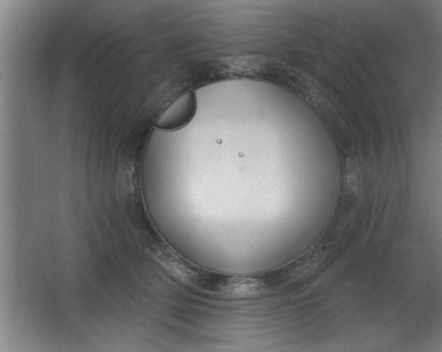 X0000068260514200604281529