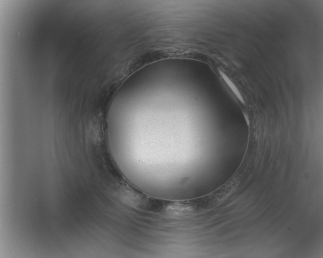 X0000068260515200604281529