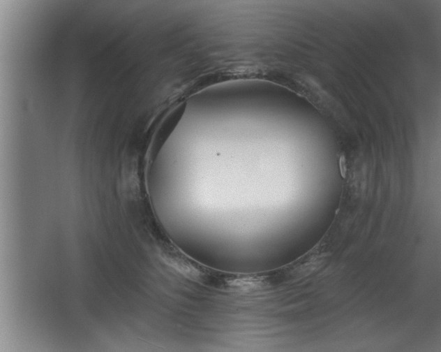 X0000068260516200604281529