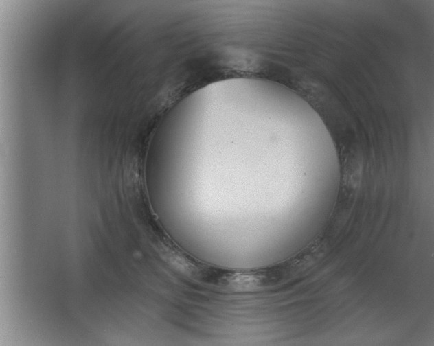 X0000068260518200604281529