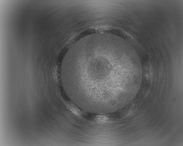 X0000068260519200604281529