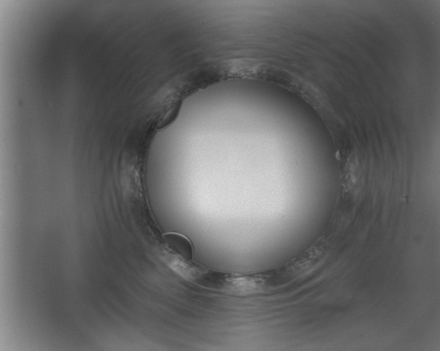 X0000068260522200604281529