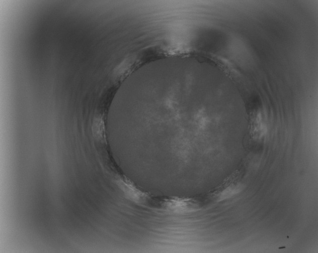 X0000068260523200604281529