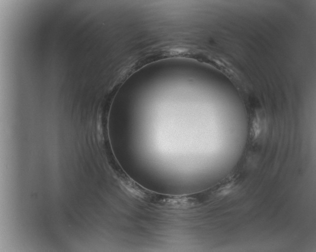 X0000068260524200604281529