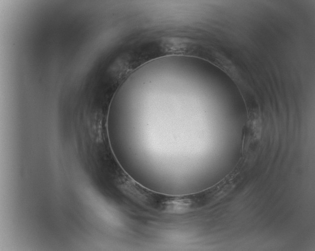 X0000068260525200604281529