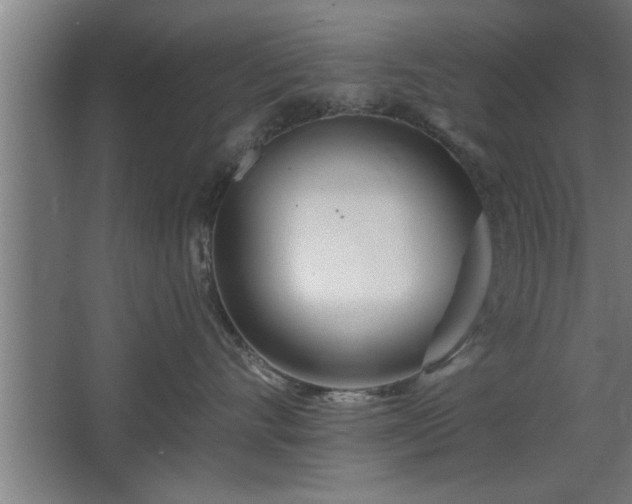 X0000068260528200604281529