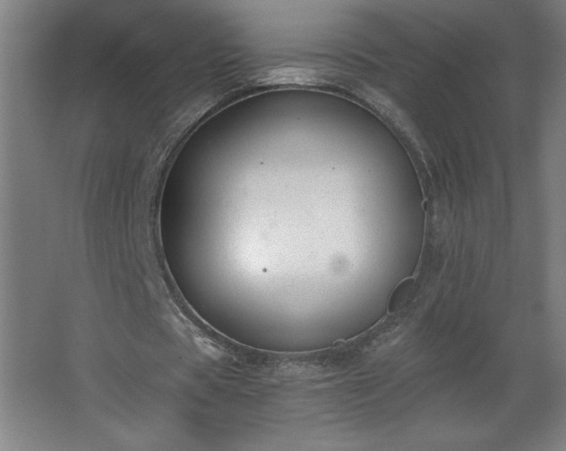 X0000068260529200604281528